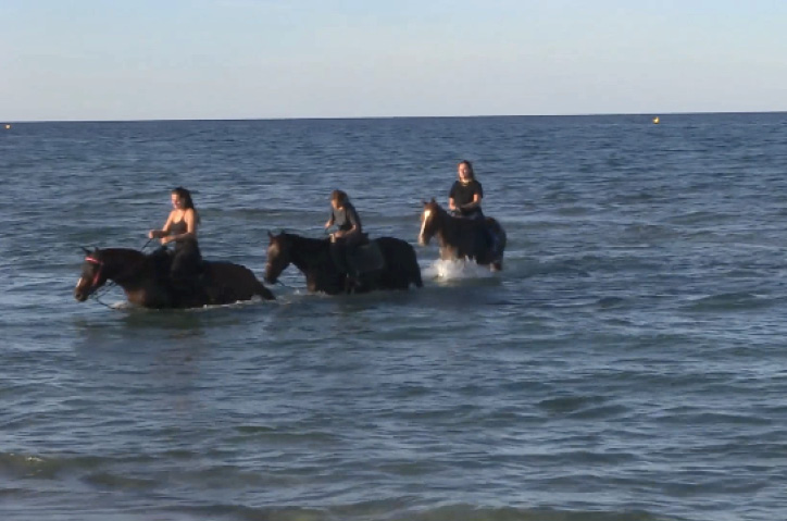 Projection des films Varan Corse *édition 2026*